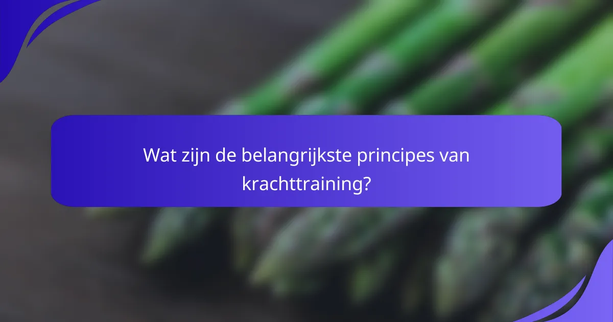 Wat zijn de belangrijkste principes van krachttraining?
